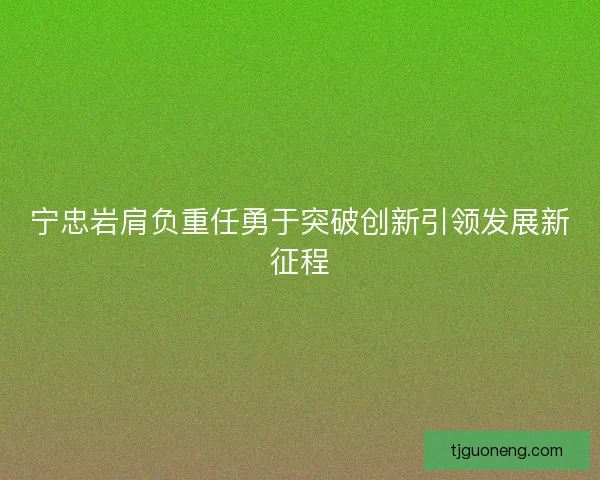 宁忠岩肩负重任勇于突破创新引领发展新征程 宁忠岩肩负重任勇于突破创新引领发展新征程